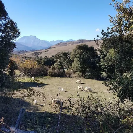 Courtaline Vakantiehuis Pietralba