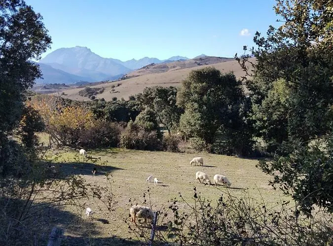 Courtaline Hébergement de vacances Pietralba
